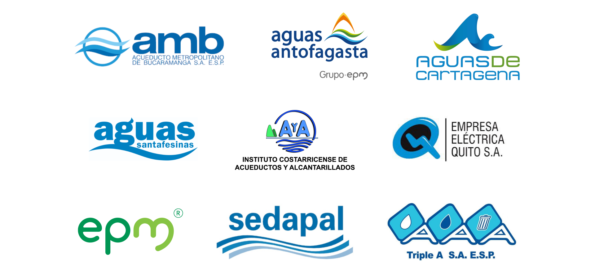 Acueducto Metropolitano de Bucaramanga, Aguas Antofagasta, Instituto Costarricense de Acueductos y Alcantarillados, Epm, Sedapal, Triple A, Veolia